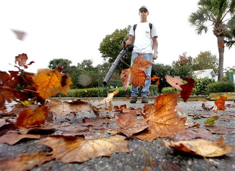 Cambridge looks to join other Massachusetts cities, towns in banning gas-powered leaf blowers